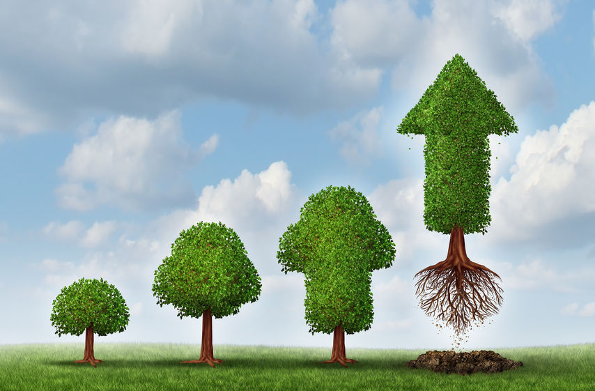 Big Data: le sfide attuali per la crescita futura